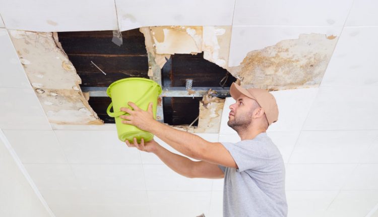 Man Collecting Water In Bucket From Ceiling. Ceiling panels dama