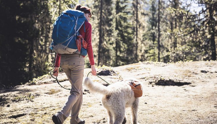 Hiking & Backpacking With Dogs