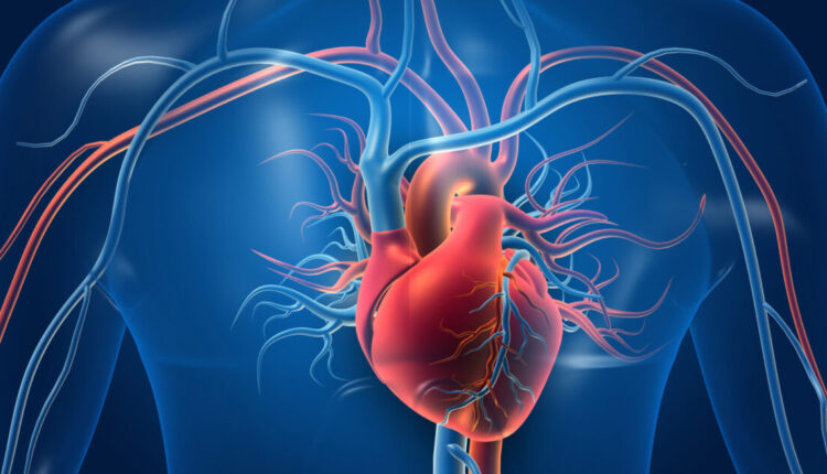 Cardiovascular Health